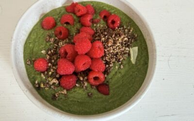 Genopbyg din naturlige mæthed med fibre, protein og faste