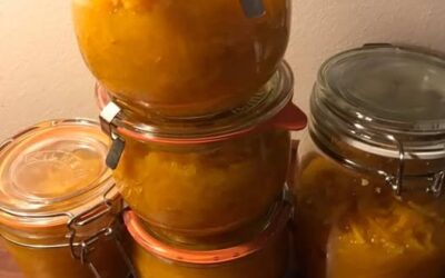 🎃 Hokkaidomarmelade med æble, ingefær og citrus